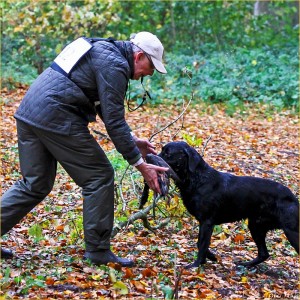 Dit jaar werd de Nimrod gewonnen door Robert Bolsenbroek met zijn Labrador Retriever Moon.