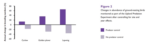 Het aantal broedparen van weidevogels neemt af in de gebieden zonder de bejaging van roofdieren, terwijl deze in de gebieden met roofdierbestrijding juist toeneemt. Game & Wildlife Conservation Trust, February 2010
