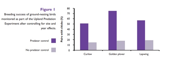 De conclusies van dit acht jaar durende experimentele onderzoek naar het broedsucces van de wulp (curlew), goudplevier (golden plover) en de kievit (lapwing) laat zien dat de overlevingskansen voor weidevogelkuikens 3 keer zo hoog zijn in gebieden waar roofdieren worden bestreden. Game & Wildlife Conservation Trust, February 2010 