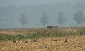 De Jagersvereniging helpt haar leden op weg met jacht in Natura 2000 gebieden