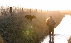 Jagersvereniging presenteert factsheet ‘Nieuwe Nationale Wildlijst’