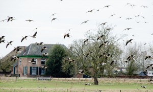 Intergroep Biodiversiteit, Jacht en Platteland goedgekeurd door Europees Parlement