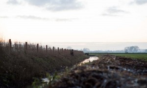 Ganzenontheffing in Gelderland is uitgebreid met schemerperiode