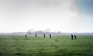 Hazenjacht in de Eempolder, met af en toe een eend als bijvangst – Noordhollands Dagblad