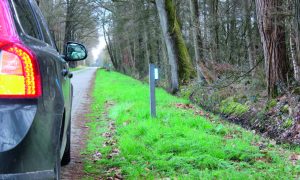 Wildspiegels verwijderd, meer dode reeën tussen Markelo en Rijssen – Tubantia