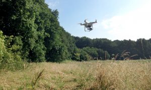 Jagers speuren met drone’s naar reekalfjes – De Stentor