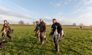 Persbericht CDA Zuid-Holland: ‘provincie pakt ganzenprobleem aan’