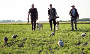 Gebruik mechanisch of elektronisch aangedreven lokvogels bij uitvoering landelijke vrijstelling toegestaan