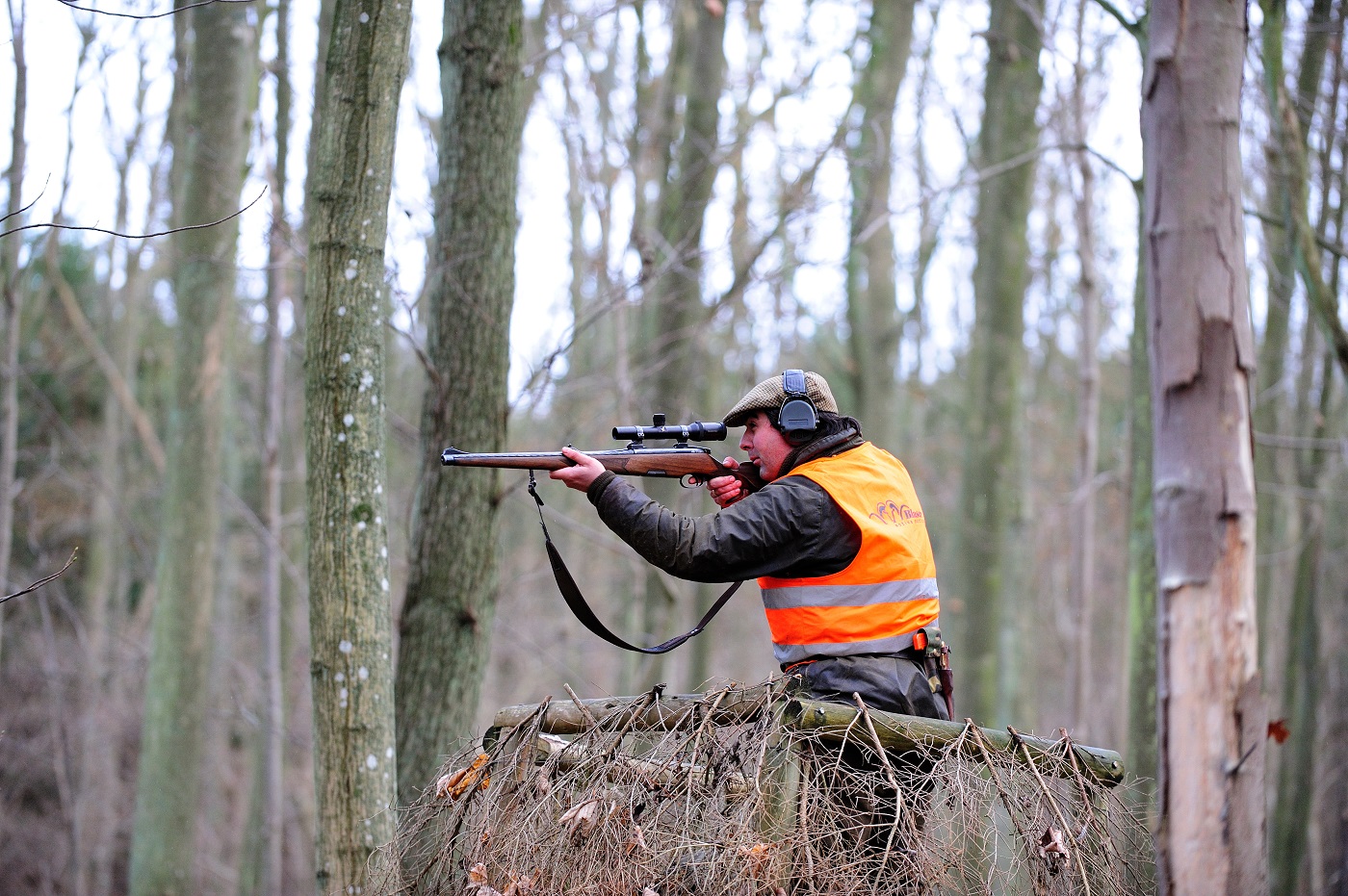 Inschieten Buks In Veld