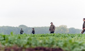 Antwoorden op Kamervragen over het bericht ‘Jagers: voorlopig geen e-screening voor wapenvergunning’