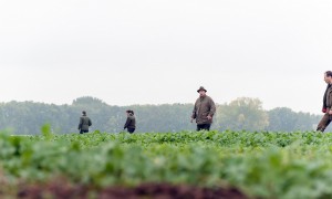 Antwoorden op Kamervragen over het bericht ‘Jagers: voorlopig geen e-screening voor wapenvergunning’