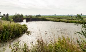 Willem Schimmelpenninck van der Oije nieuwe directeur Jagersvereniging