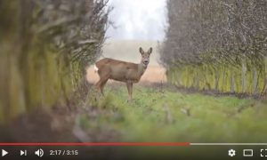 Door de ogen van de jager – maart 2017