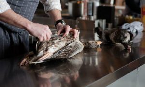 Eten in de regio: Wilde gans proeven op Tiengemeten – RTV Rijnmond