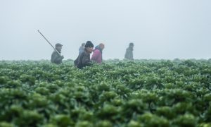 De Jagersvereniging presenteert herziene weidelijkheidsregels