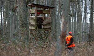 Jagersvereniging presenteert handreiking voor de beperkte bewegingsjacht