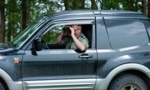 Feestjes in de wei waar reekalfjes liggen: verdrievoudiging incidenten in natuurgebieden sinds coronacrisis – EenVandaag