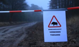 Beperkte bewegingsjacht in Brabantse Kempen – De Jager