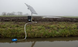 Veertig Friese boeren zetten weiland onder water – Groene Ruimte