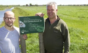 Boeren willen weidevogel redden – De Telegraaf