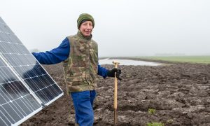 Zuid-Holland investeert in boerenlandvogels