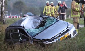 Provincie Friesland: reewildbeheer uitsluitend gericht op beperken aanrijdingen