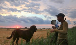 Ganzenjacht met megafoon wederom toegestaan in provincie Utrecht