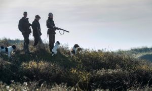 Reactie Jagersvereniging op Aanvullingsregeling natuur Omgevingswet