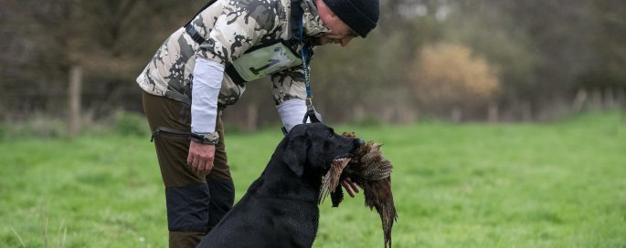Meervoudige Apporteerproef Hindersteyn