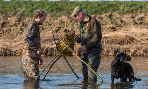 Samenwerking met Europees Watervogelnetwerk: eendenkorvenproject wordt Europabreed!