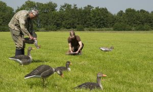 Jagersvereniging maakt zich sterk voor eenduidigheid verlengingsbesluiten