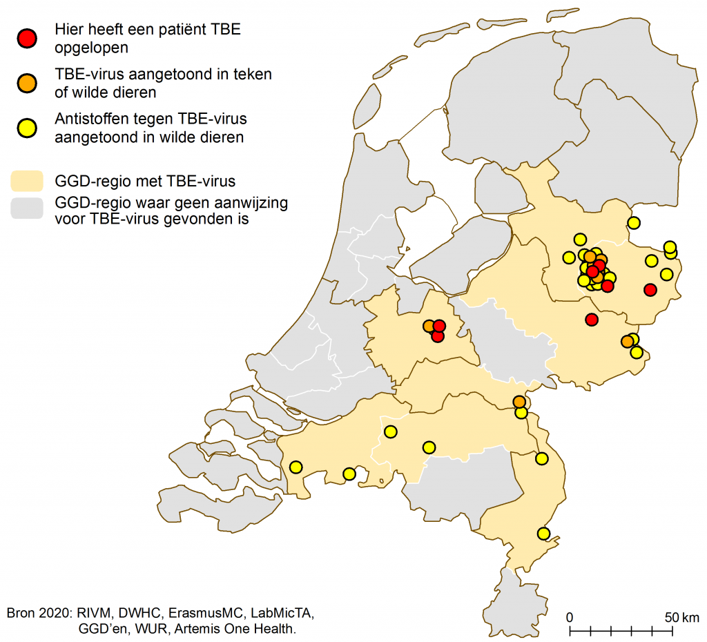 Verspreiding teken-encefalitusvirus juni 2020