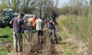 Jagen steeds populairder onder jongeren: “Mooiste werk dat er is” – RTV Oost