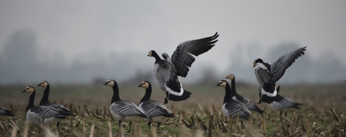 Afdelingsvergadering Drenthe