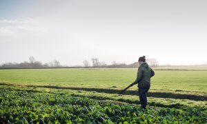 Oproep Tweede Kamer: Maak ruimte voor vrijwilligers in het natuurbeheer