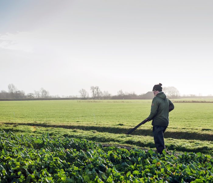 Oproep Tweede Kamer: Maak ruimte voor vrijwilligers in het natuurbeheer