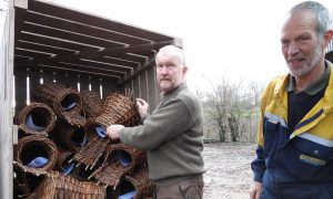 Eerste eendenbroedkorven-drive through in Lochem