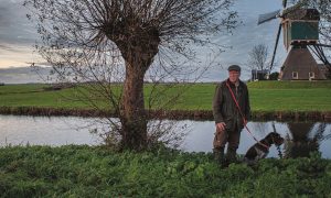 Partij voor de Dieren trekt voorstel jachtverbod in