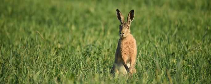 Ledenvergadering afdeling Drenthe