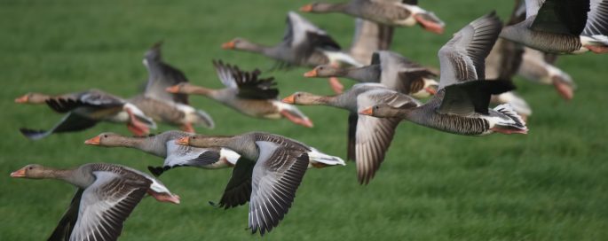 Algemene Ledenvergadering afdeling Noord-Holland