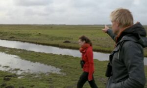 Succesvol weidevogelbeheer in de Eempolders – Vroege Vogels