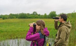 Jagersvereniging betrokken bij hervorming telprotocollen
