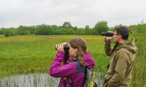 Jagersvereniging betrokken bij hervorming telprotocollen