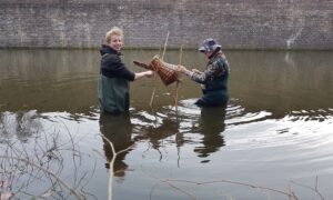 Jagersvereniging plaatst eendenkorven rondom kasteel Amerongen