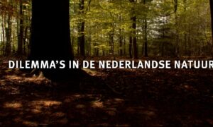 Documentaire ‘Dilemma’s in de Nederlandse natuur’