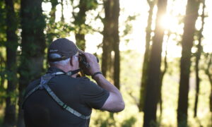 Ruime Kamermeerderheid wil gedragen telcijfers en beoordelingssystematiek wildsoorten