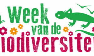 Veel activiteiten in De Week van de Biodiversiteit