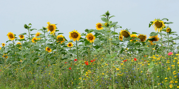 Ledenenquête agrarisch natuurbeheer