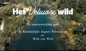Even klikken en klaar: Viergangen wilddiner van Hollandse bodem