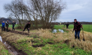 Groene voornemens